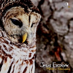 Jesus Escobar - Mirror Of Confusions (David Garez Remix)