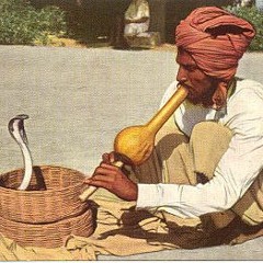Dario Fariello & Iosu Vakerizzo - The snake charmer's last song