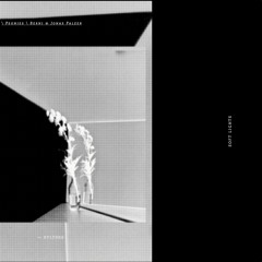 Peonies / Berni & Jonas Palzer - SOFT LIGHTS w/ ITAL Remix (RVLT006)