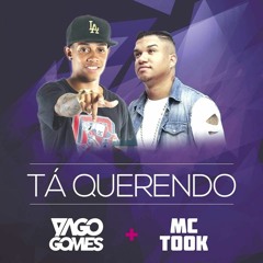 MC TOCK = TA QUERENDO NE [ DJ YAGO GOMES ]