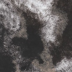 Discord - Bring The Noise