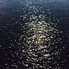 Lightly Swims The Swan