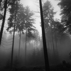 Coy Haste & Totemic - austral fog