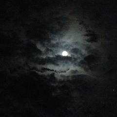 August Moonrise - Performed by Olivia Berumen