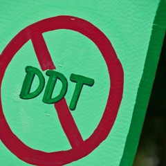 MT Moe -DDT MUST STOP FT Bagel MT
