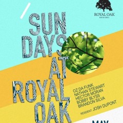 Josh Dupont LIVE @ Royal Oak May 2016