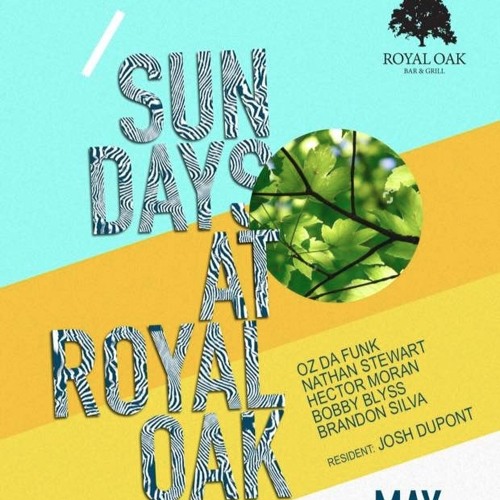 Josh Dupont LIVE @ Royal Oak May 2016