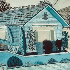 Chook Race "Sometimes" (Trouble In Mind Records)