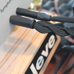 Out Of My Mind by Gully F Jethro, Sam, Griploc