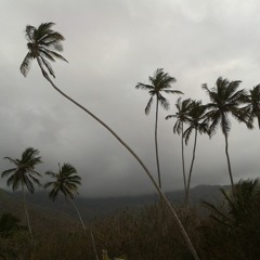 Fantasia In A minor - David Kellner