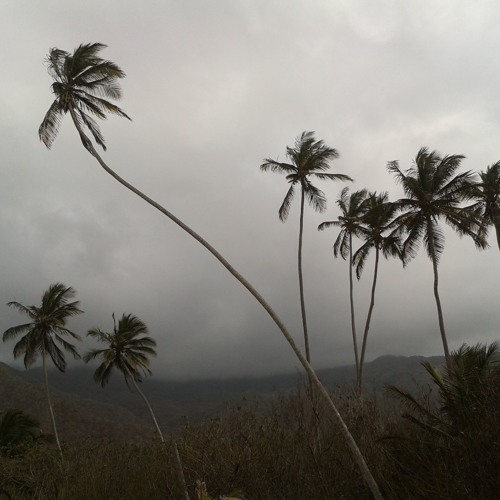 Fantasia In A minor - David Kellner