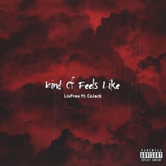 Kind Of Feels Like feat. CoJack (Prod.ShawShank)
