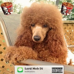 Notifications (Prod. by Jaibe Bliss)