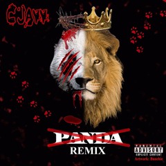 Ceejay- [Panda Remix]