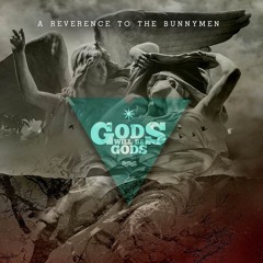 Dark Narrows - Lips Like Sugar (Echo & The Bunnymen) - TBTCI Records