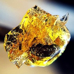 Concentrates