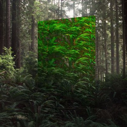 Outside Perspective