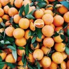 tangerines-slight