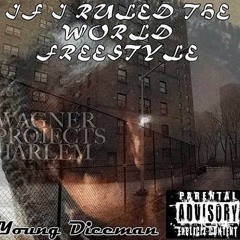 IF I RULED THE WORLD FREESTYLE