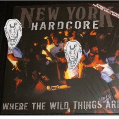 The Hard Way (Outburst Cover) Home Demo 2016