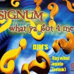 Signum - What Ya Got 4 Me(Djms - Say What Again Mix)