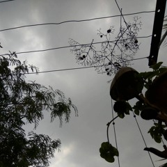 Gustavo Santaolalla - De Ushuaia A La Quiaca