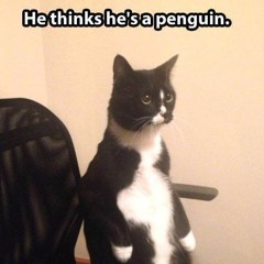 Globetrotting Penguino Malefico