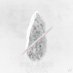 Still a Bud - Onyx