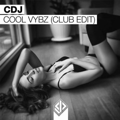 CDJ – Cool Vybz Club Mix (Free Download)