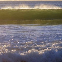 Harbour [Naviarhaiku126 - rowing through]