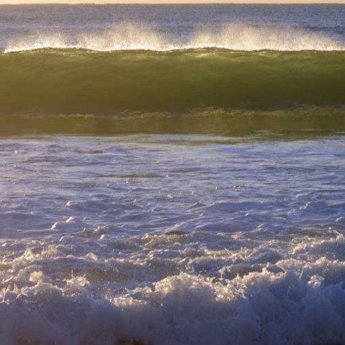 Harbour [Naviarhaiku126 - rowing through]