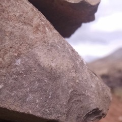 Tu Poeta - Los Claveles De La Cumbia "Primicia"