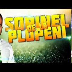 SORINEL DE LA PLOPENI - CONSTANTINE CONSTANTINE (Andy EDIT)