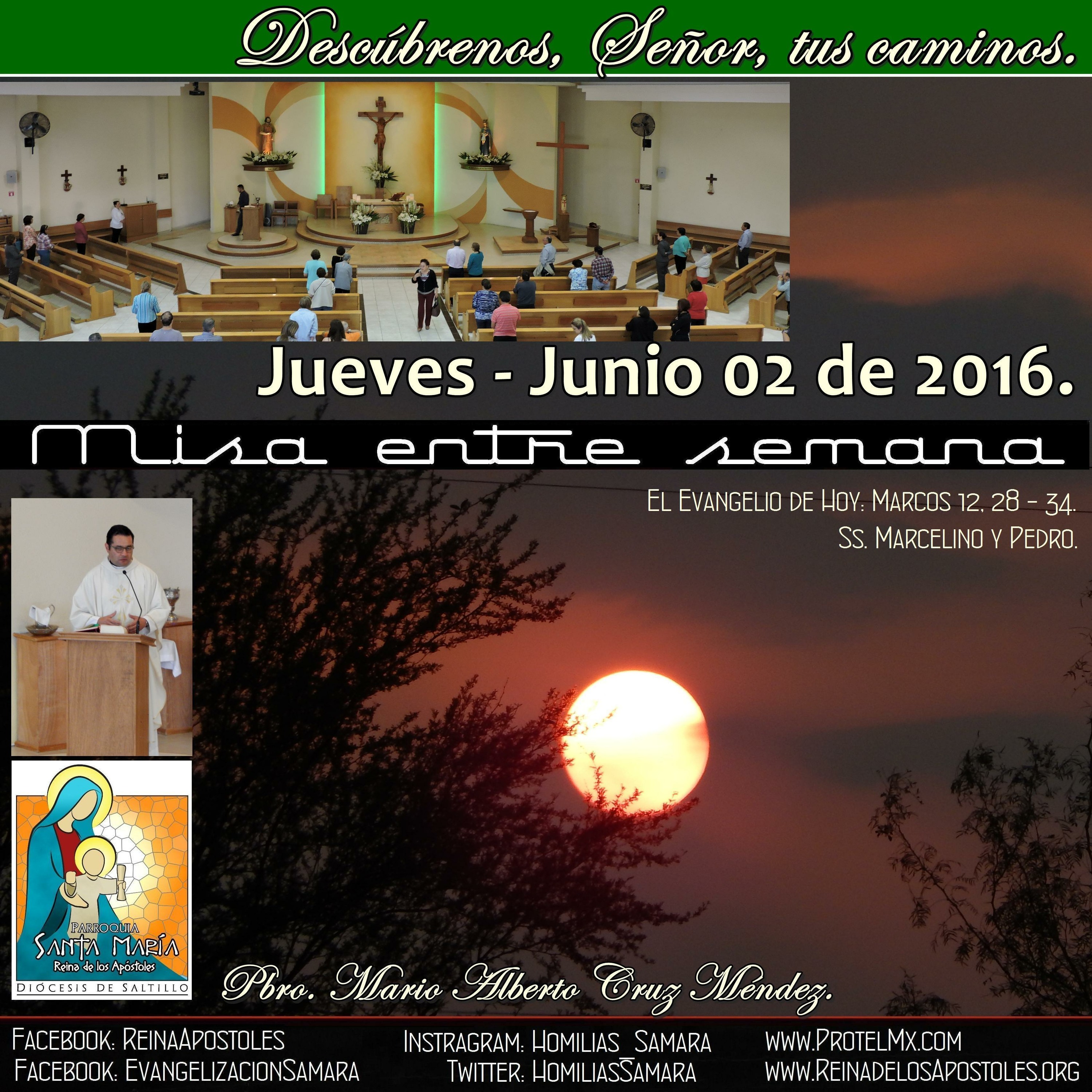 SAMARA_Saltillo #2019