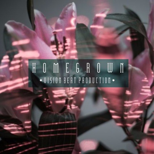 Vision Beat Prod. - H O M E G R O W N