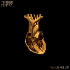 TENDER CENTRAL - Wake Me Up ( Phil Taggart BBC R1 RIP ) BOOM TING RECORDINGS SUMMER 2016