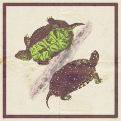 turtle.tape