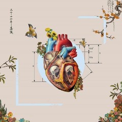 Chalk Drawings With Dante