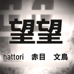 『望望』 ‐ hattori,赤目&文鳥