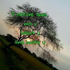 Yaad ayenge ye PAL