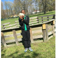 NO COURSE  YVNG ROB X MONTANA