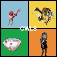Owls - Everyone Is My Friend