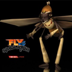 Fly Simulator Race Of Light