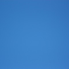 It's Probably Nothing