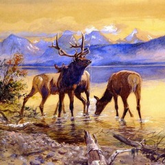 أغني : يا أبي ، شعر عصام مطير البلوي