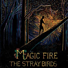 The Stray Birds - "Shining In The Distance"