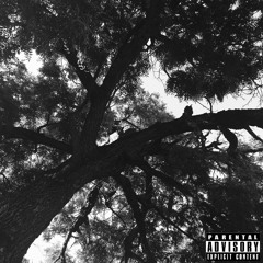 deadvision x corpse - listen to the birds (prod. IAMRYU)