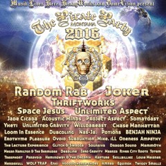Pirate Party 2016
