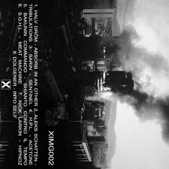 Self-Aware - Various Artists - XIMG002