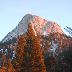 Something Like Harmony